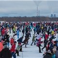 Сотрудники АНО "АПМБ" приняли участие в празднике здоровья и спорта Сотрудники АНО "АПМБ" приняли участие в празднике здоровья и спорта